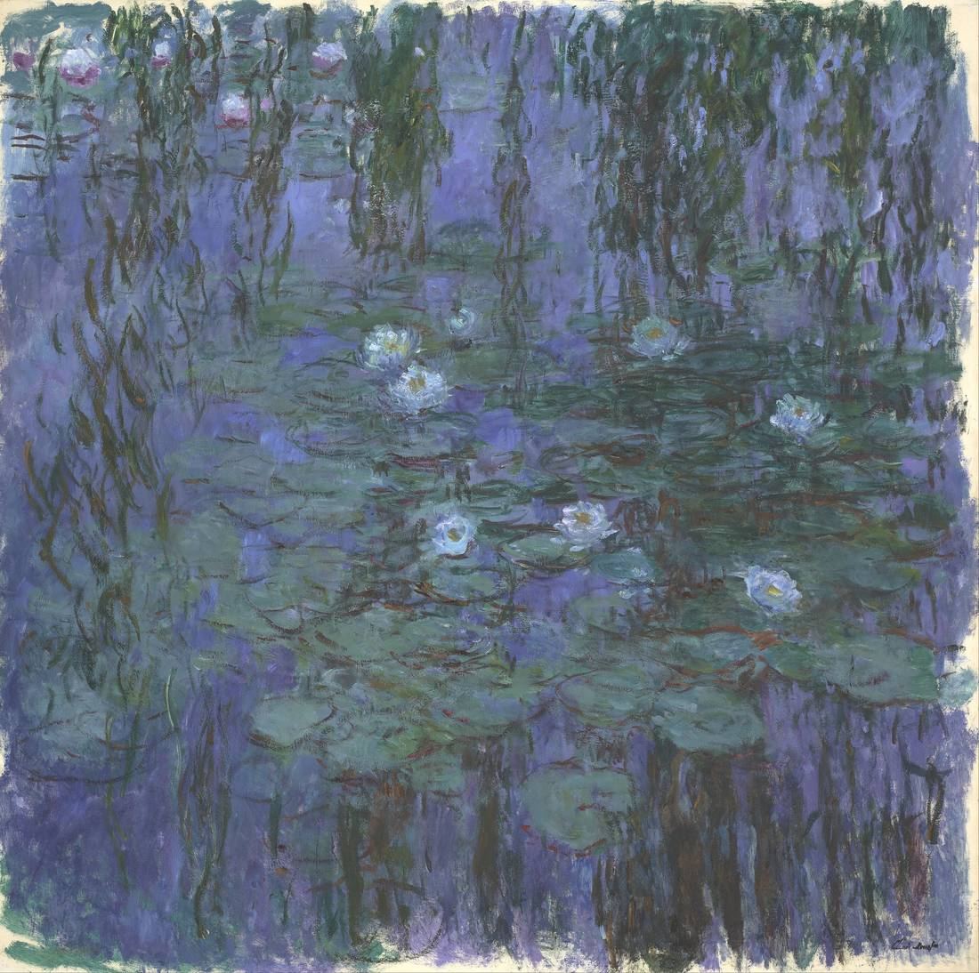 Deep blue water and violet reflections, with clusters of pink and white water lilies floating near the surface.